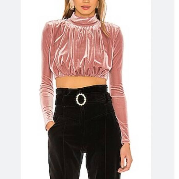 Forever 21 Lavender Velvet Mock-neck Cropped Top Medium - Picture 7 of 7